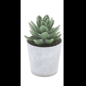 NEW Plastic Plant, Perfect for Home, Office, Dorm